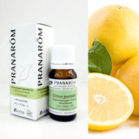 ジャーマンカモミール　5ml ジャーマンカモミール（オーガニック）｜フローラルウォーター