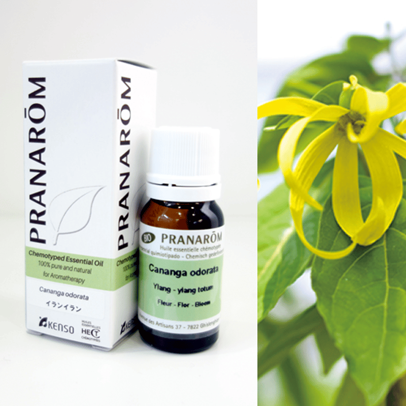 イランイラン [10ml] | perfume onlineshop