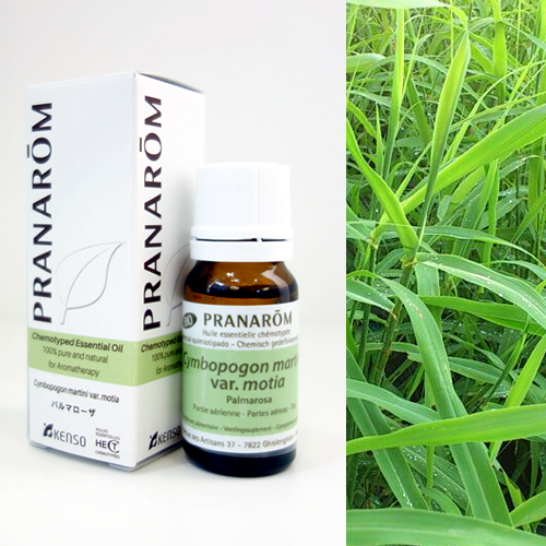 【juneさま】PRANAROM パルマローザ 10ml プラナロム 精油 楽天市場】プラナロム パルマローザ エッセンシャルオイル 10ml