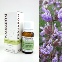 KENSO】カモマイル・ジャーマン [5ml] | perfume onlineshop