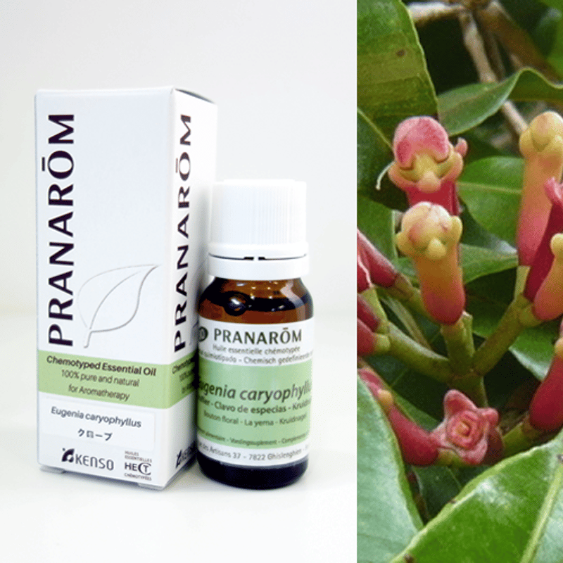 【パプリカさま】PRANAROM  ジュニパー ベリー 5ml プラナロム 精油 パプリカさま】PRANAROM ジュニパー ベリー 5ml プラナロム 精油