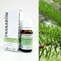 ラベンダー・スーパー [10ml] | perfume onlineshop