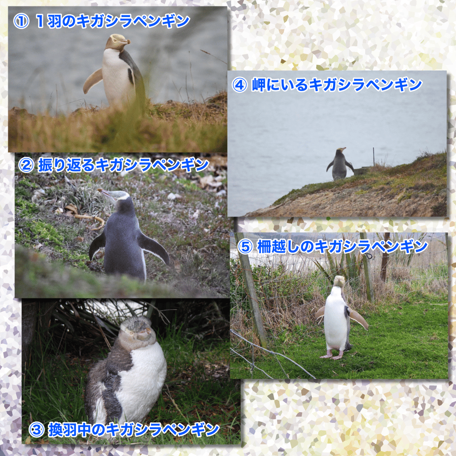 654c9112c3470206443a58ce
