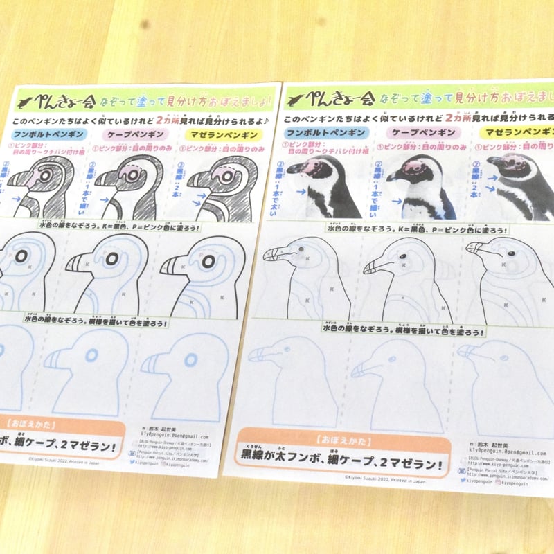 4枚セット】ペンギン見分け方描き込み式ワークシート | ぺんきょー会 
