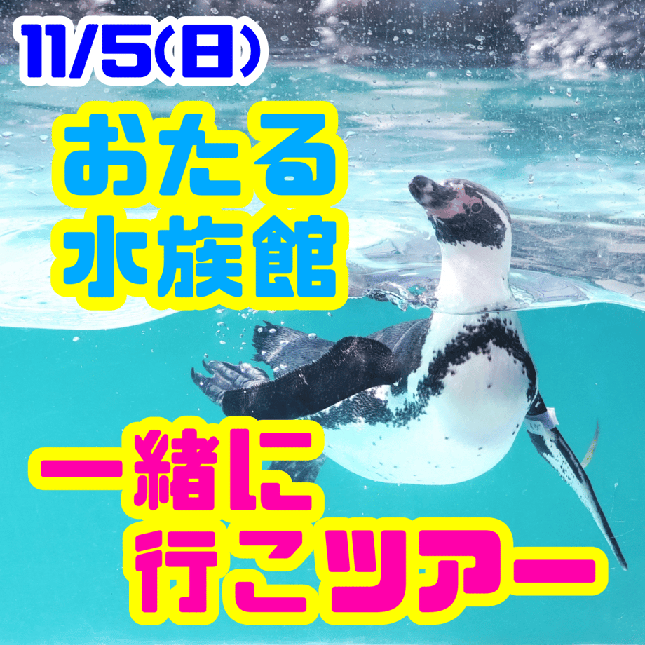64f5ebf17a275c0033e0c19e
