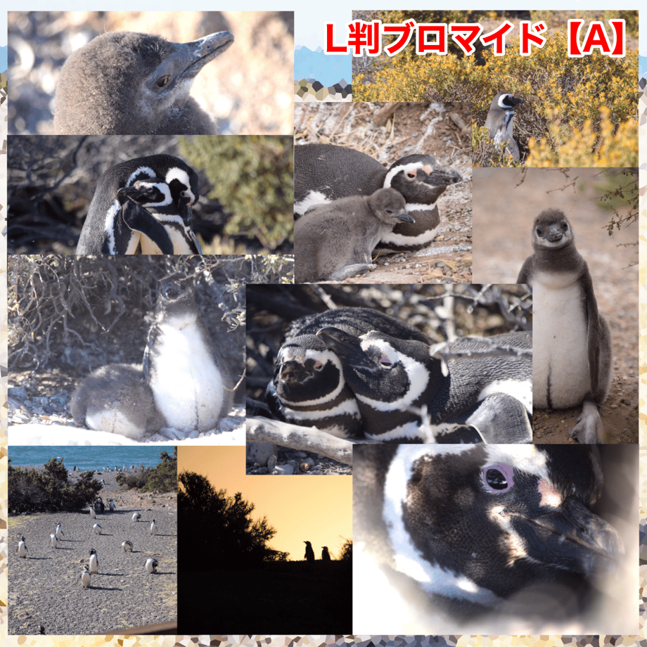 654c8fb290253302b89383d8