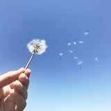 ソラノノオト