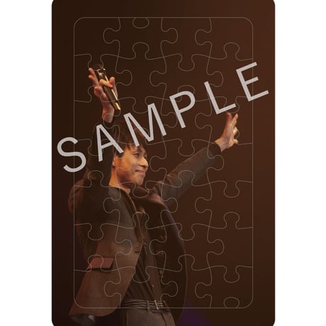 【セット】林部智史デビュー５周年記念グッズ　ベストショットパズル セット