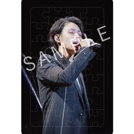 【セット】林部智史デビュー５周年記念グッズ　ベストショットパズル セット