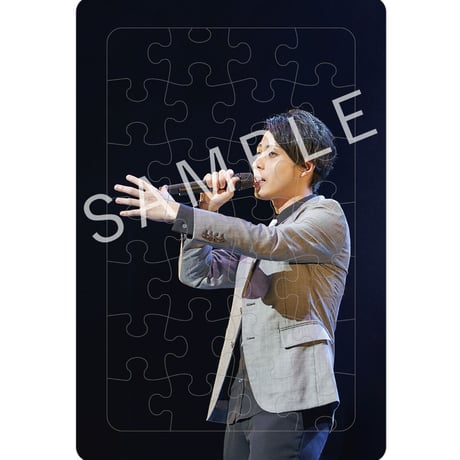 【セット】林部智史デビュー５周年記念グッズ　ベストショットパズル セット