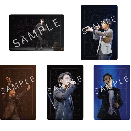 【セット】林部智史デビュー５周年記念グッズ　ベストショットパズル セット