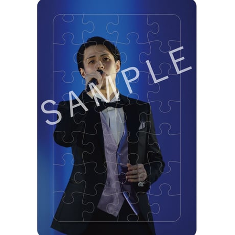 【セット】林部智史デビュー５周年記念グッズ　ベストショットパズル セット