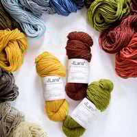 dLana* Artisan Yarn / Castellana（スペイン・カスティーリャ種 ）100g  かせ