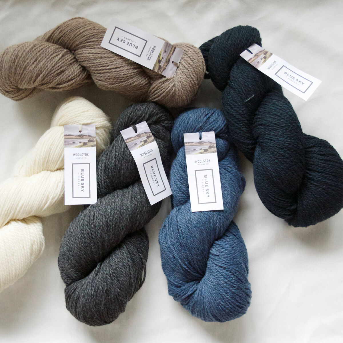 150g かせ - Blue Sky Fibres 「WOOLSTOK - WORSTED」 