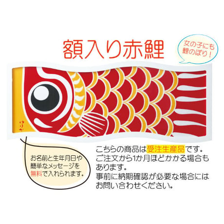 額入り鯉のぼり