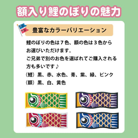額入り鯉のぼり