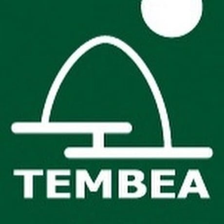 『TEMBEA／ GREY 箔SILVER ペンキ〈GAME POUCH〉』