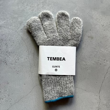 『TEMBEA／GUNTE』