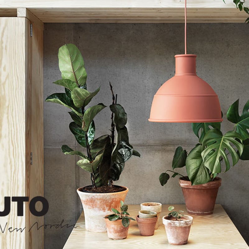 muuto UNFOLD | SALVE