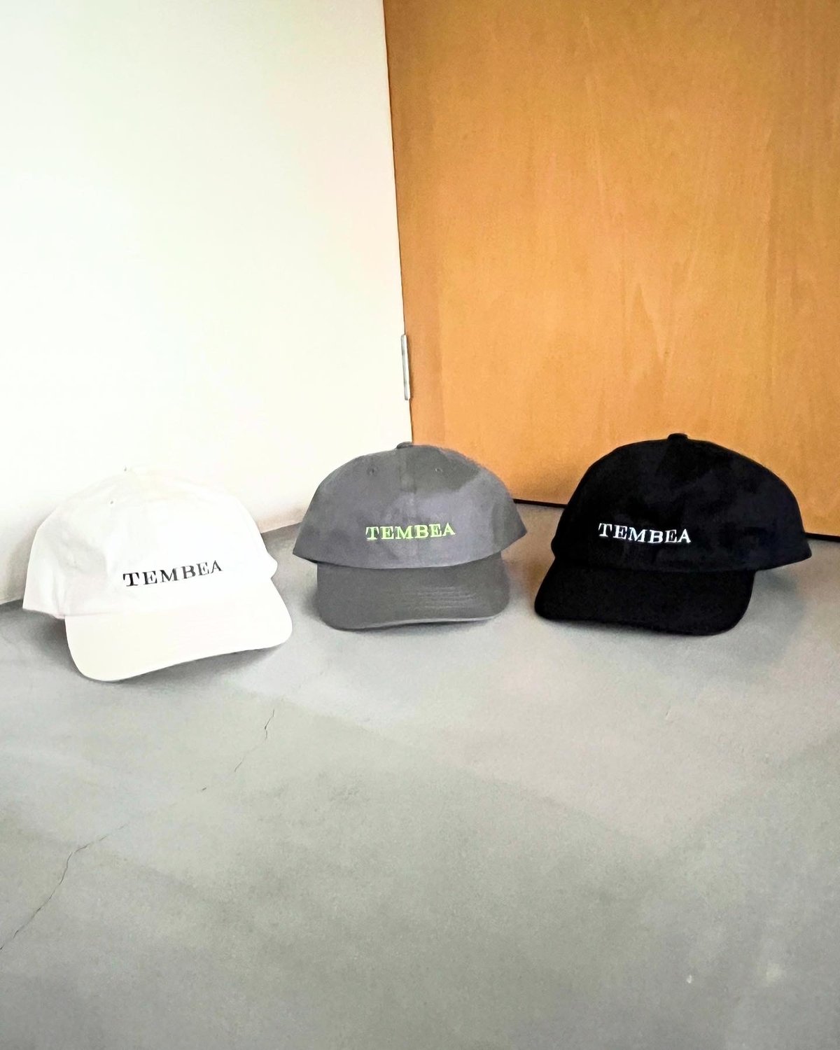 TEMBEA テンベア キャップ ロゴキャップ TEMBEA／LOGO CAP』 | SALVE