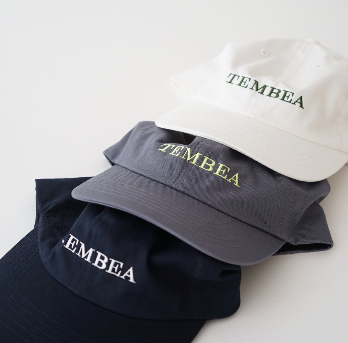 TEMBEA／LOGO CAP』 | SALVE
