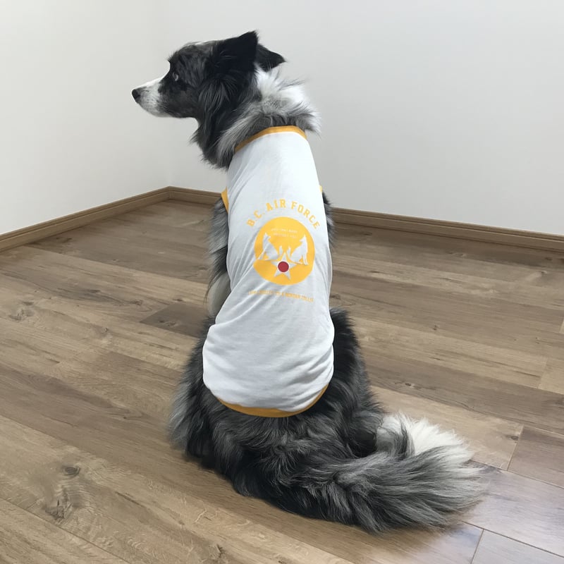 蚊対策】虫よけタンクトップ（ボーダー・エアフォース） | azuzu fabrica