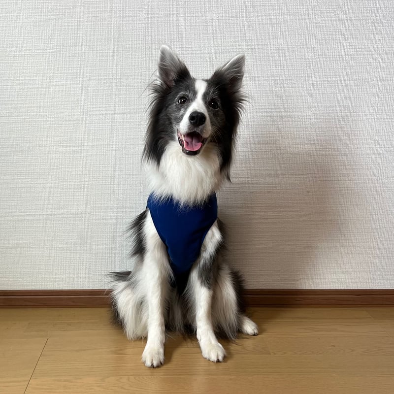 名入れ無料】JBAタンクトップ | azuzu fabrica