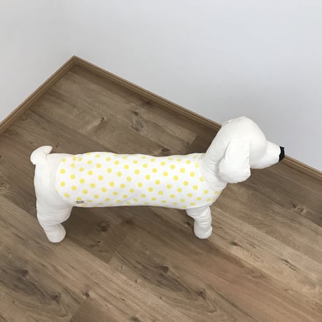 レモンドット