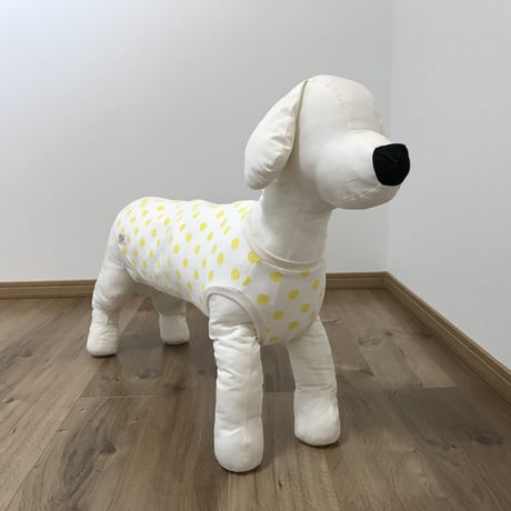 レモンドット