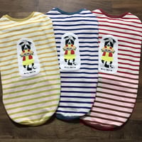 ボーダーカリーの柄（ワッペン）無し