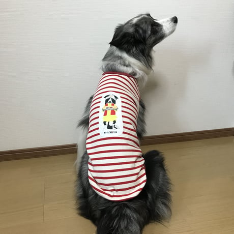 ボーダーカリーの柄（ワッペン）無し