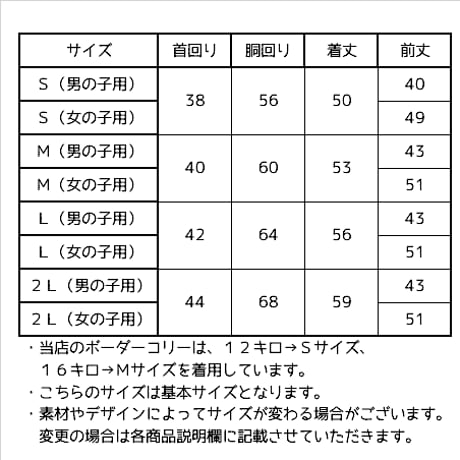 ボーダーカリーの柄（ワッペン）無し