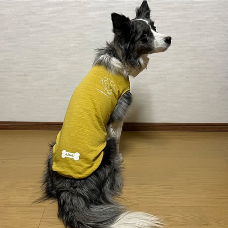 パピーボーダー
