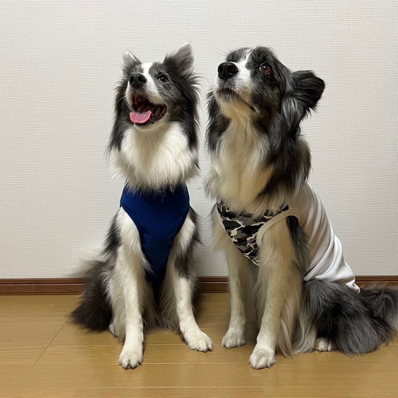 名入れ無料】JBAタンクトップ | azuzu fabrica