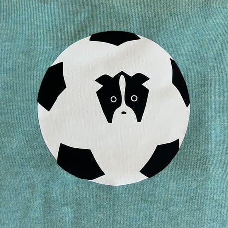 サッカーボーダー  の柄無し