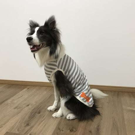 【蚊対策】虫よけタンクトップ