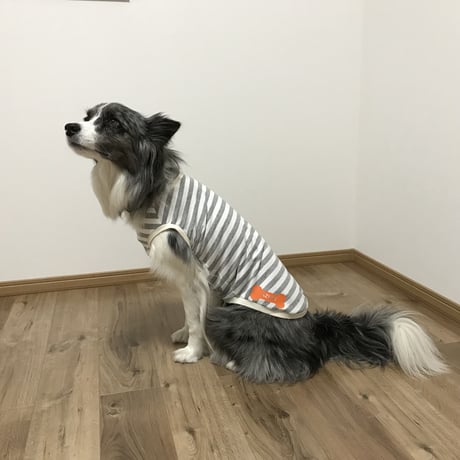 【蚊対策】虫よけタンクトップ