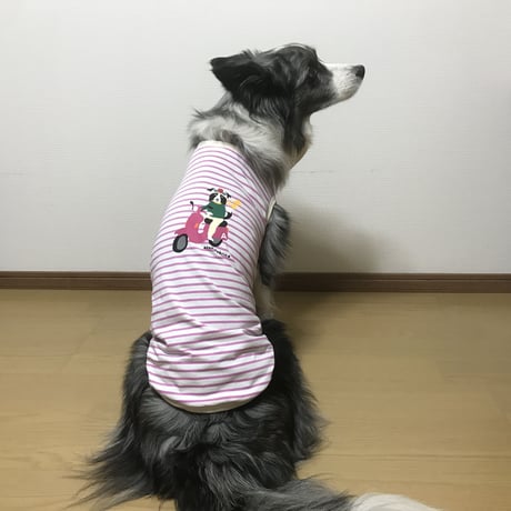 【接触冷感】クールタンクトップ  （ボーダーライダー）