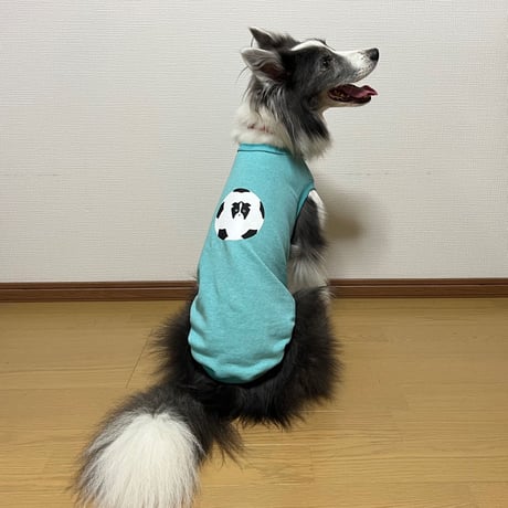 サッカーボーダー  の柄無し