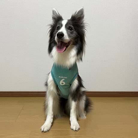 サッカーボーダー  の柄無し