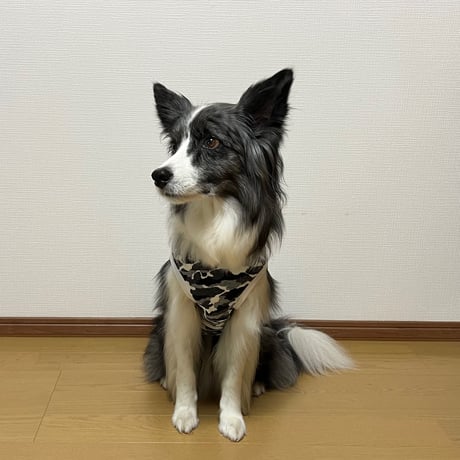 【名入れ無料】ＪＢＡタンクトップ