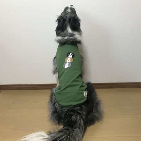団子３ボーダー（グリーンはＳサイズのみ）