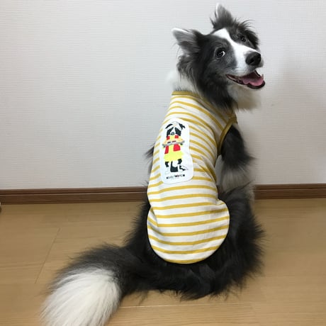 ボーダーカリーの柄（ワッペン）無し