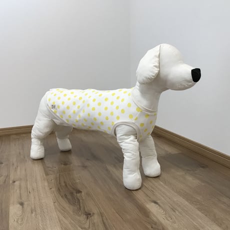 レモンドット