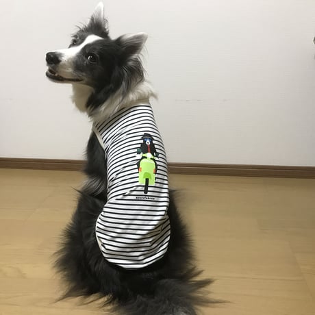 【接触冷感】クールタンクトップ  （探偵ボーダー）