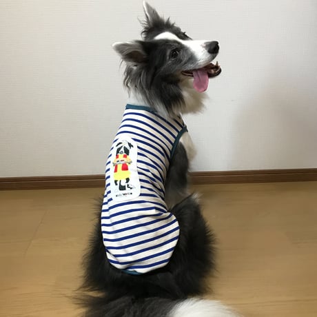 ボーダーカリーの柄（ワッペン）無し