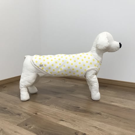 レモンドット