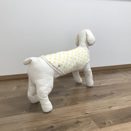 レモンドット