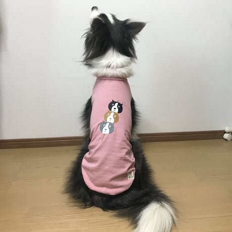 団子３ボーダー（グリーンはＳサイズのみ）