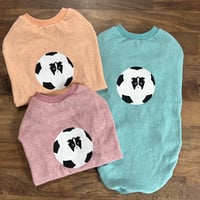 サッカーボーダー  の柄無し